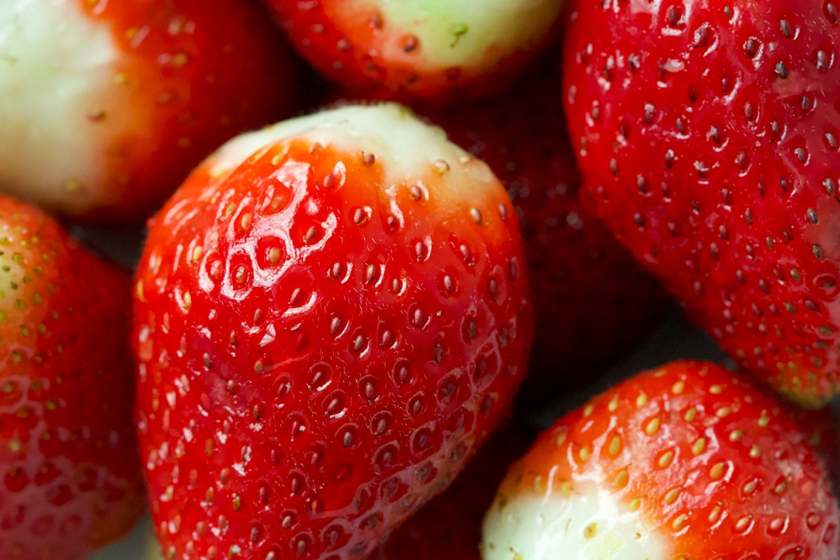 Ricerca scientifica sulla nutrizione